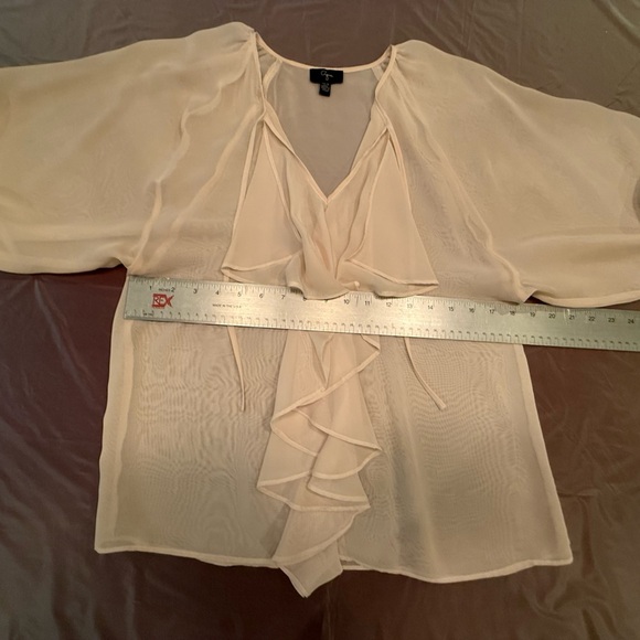NWOT Aqua Sheer Cream Blouse w/ Sleeves and Ruffled Neckline Size Small MSRP$128 - Picture 5 of 6